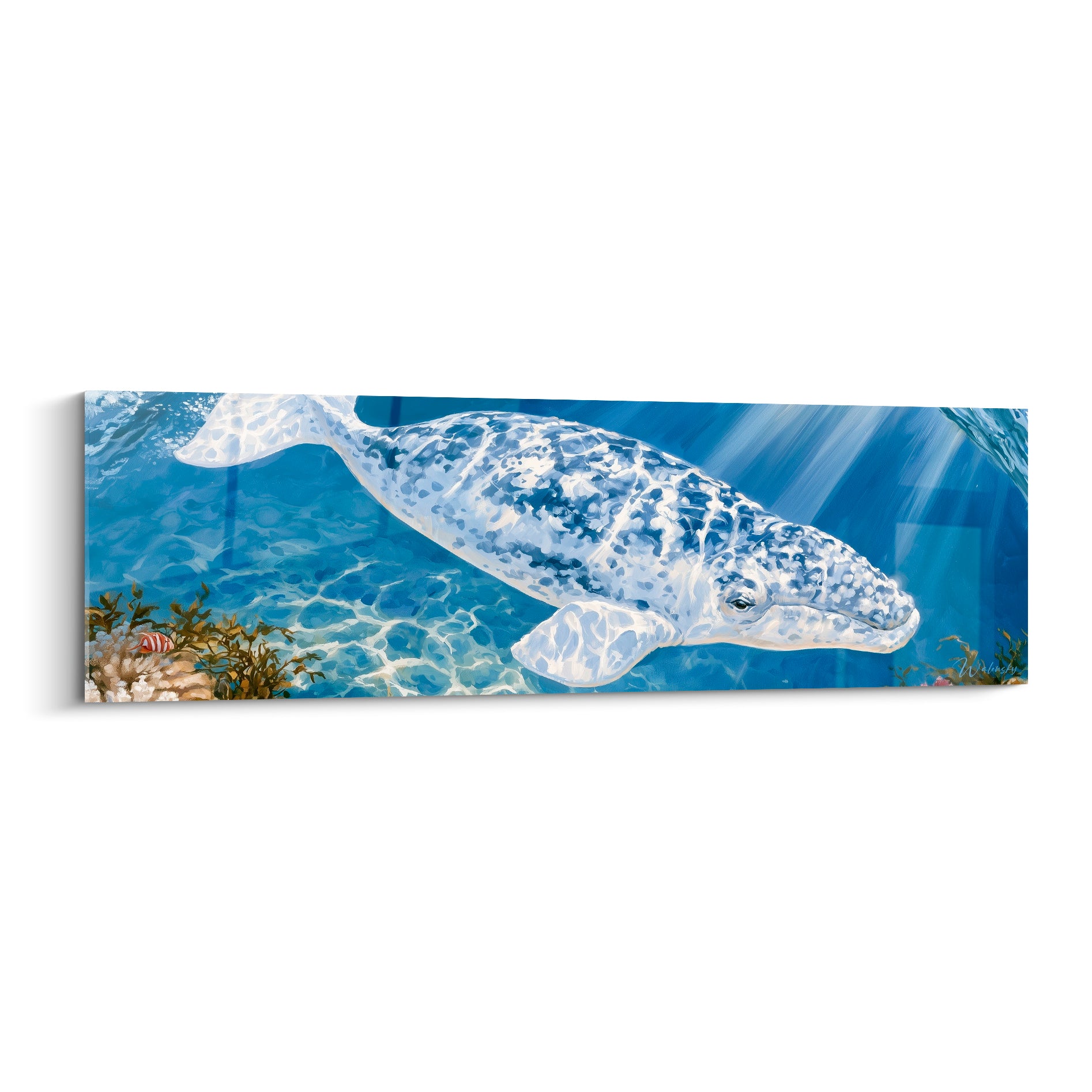 Baleine grise au motif marbré bleu marine et blanc nageant sous des rayons de lumière turquoise