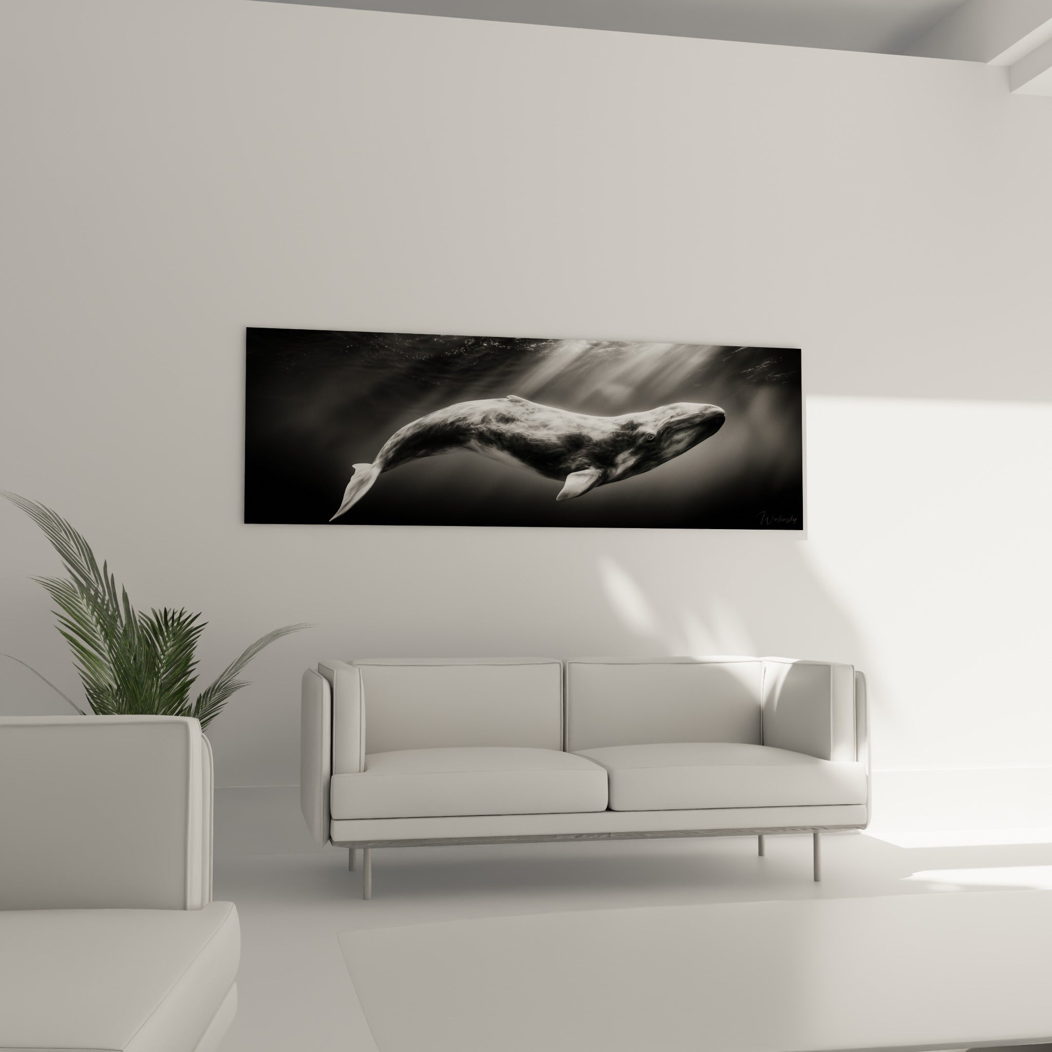 Géant marin gris perle sous rayons lumineux, au-dessus d'un canapé dans un salon lumineux