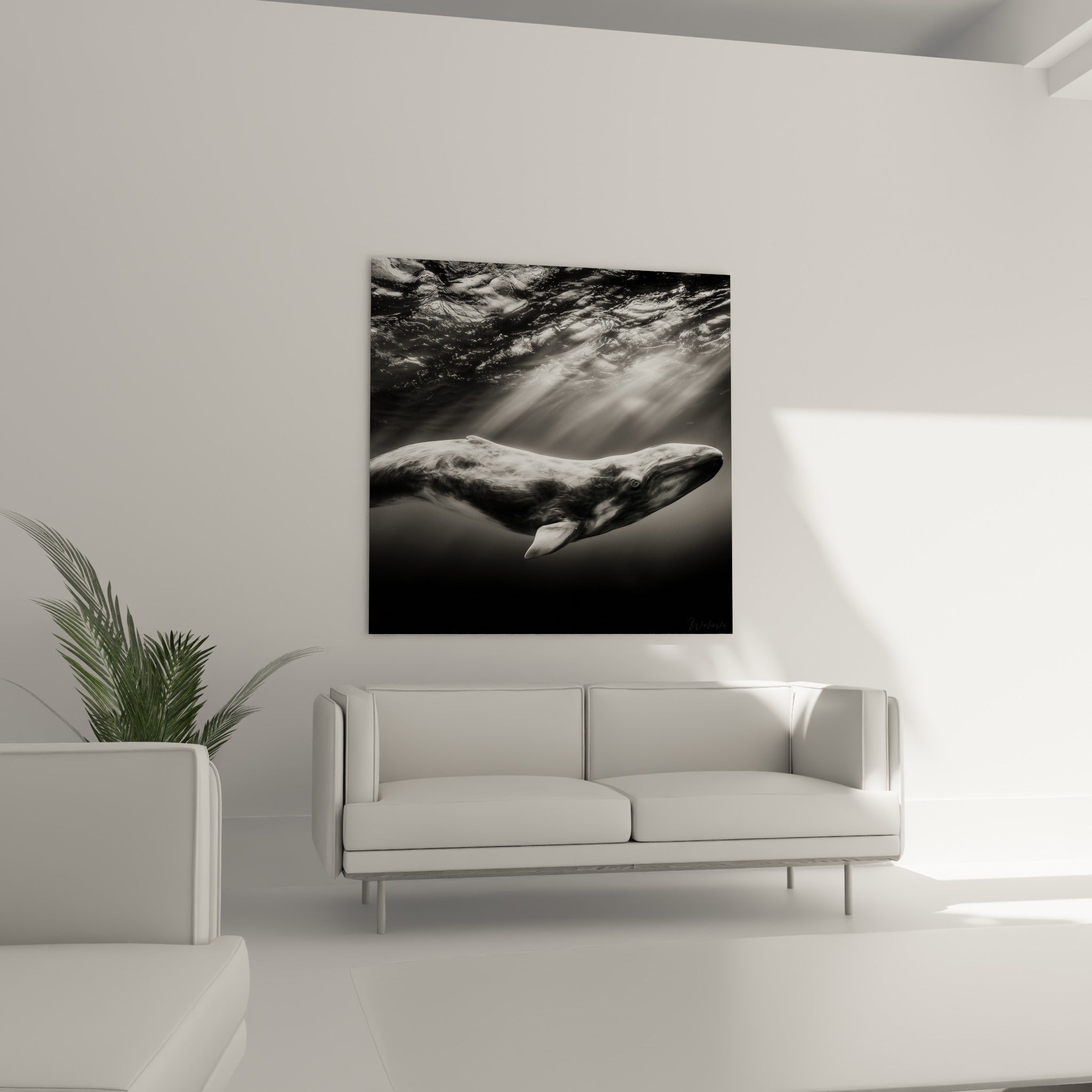 Mammifère marin gris et blanc éclairé par des faisceaux lumineux, au-dessus d'un canapé dans un salon lumineux