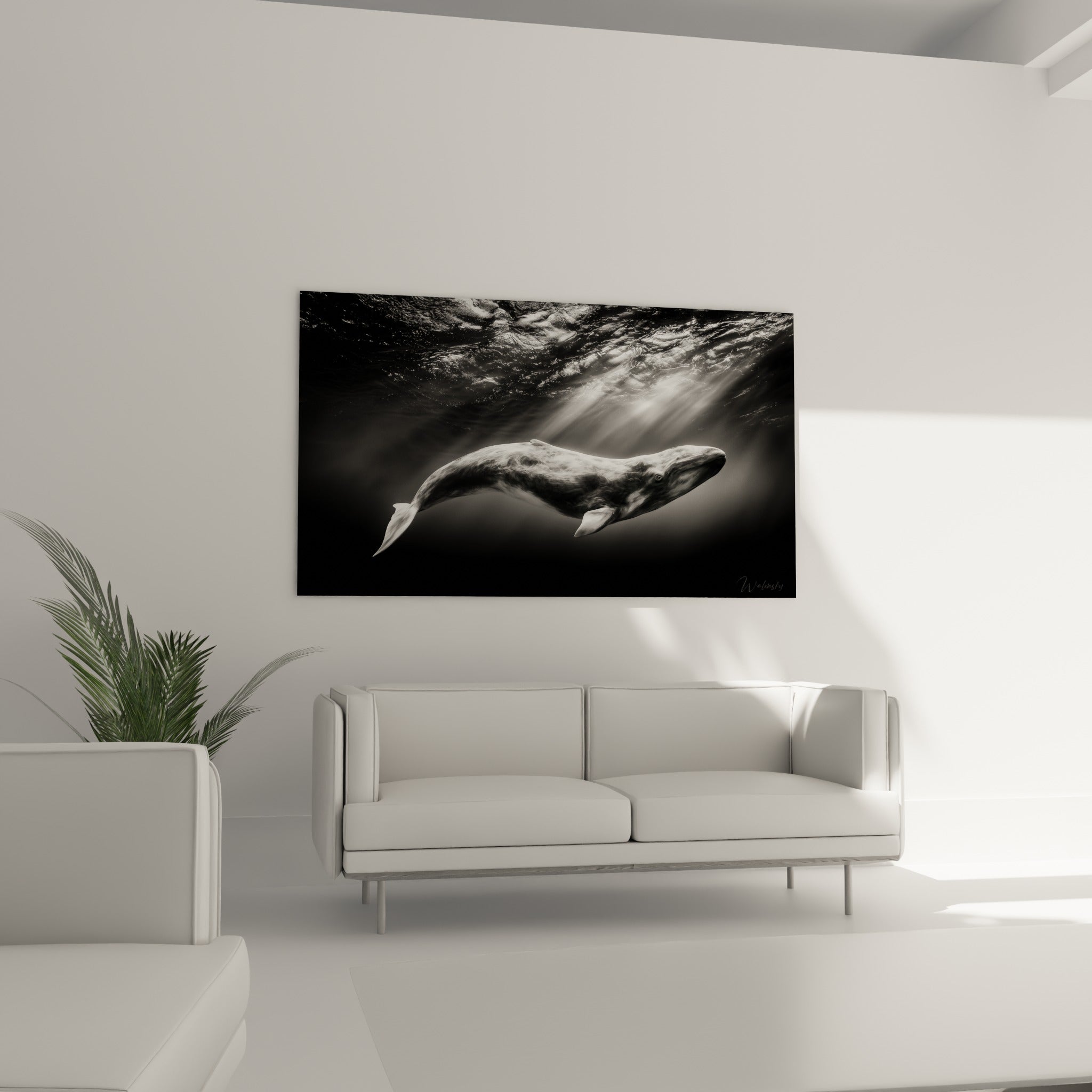 Mammifère marin noir et blanc éclairé par des faisceaux lumineux, au-dessus d'un canapé dans un salon lumineux