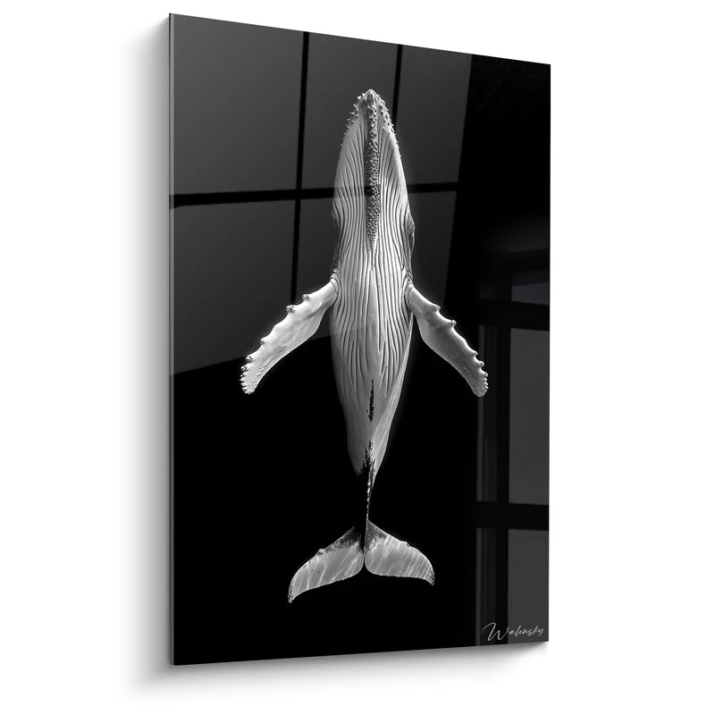 Humpback Whale Wall Art - Oceanic Majesty - Black and White Animals Edition