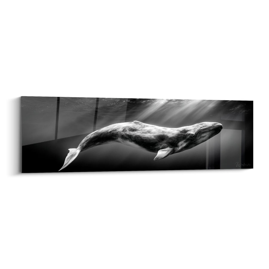 Tableau Baleine gris et noir peau granuleuse texturée - Grain de peau - Edition Baleine