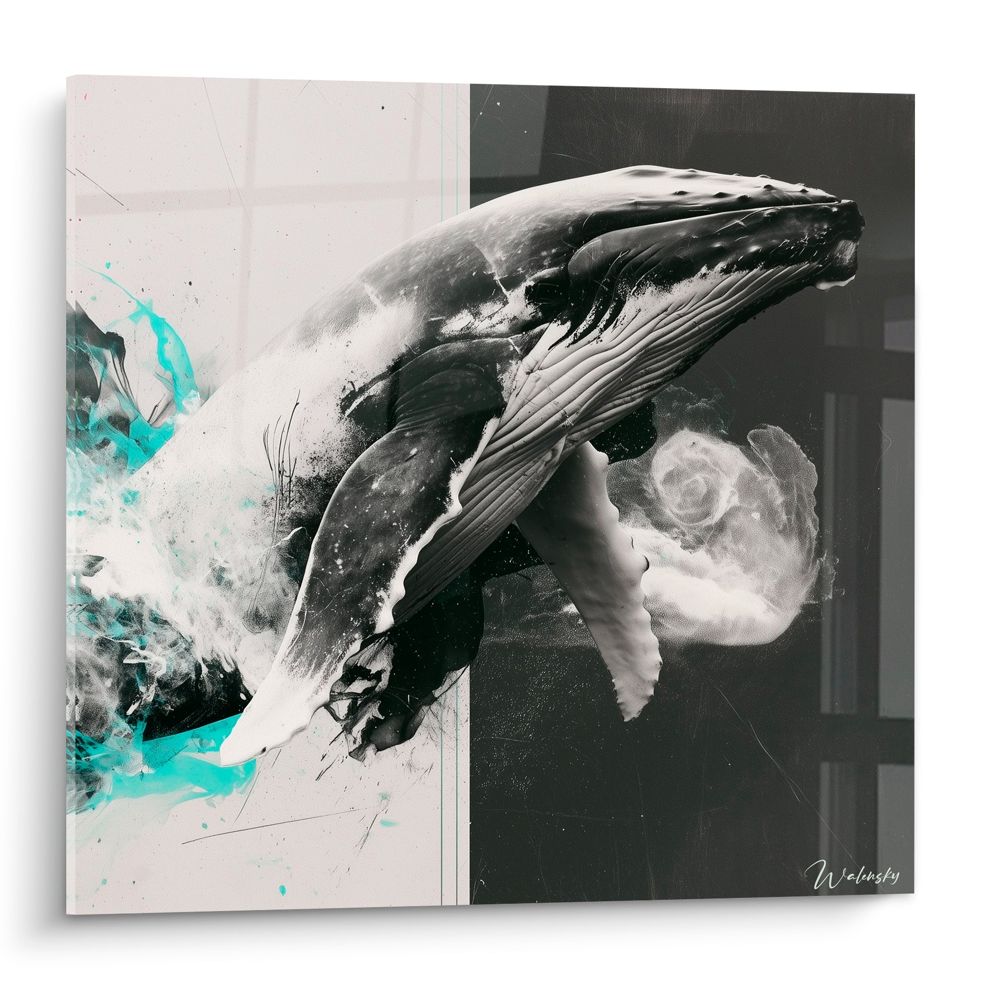 Baleine en plein bond, corps gris texturé et blanc, éclaboussures turquoise sur fond noir et clair