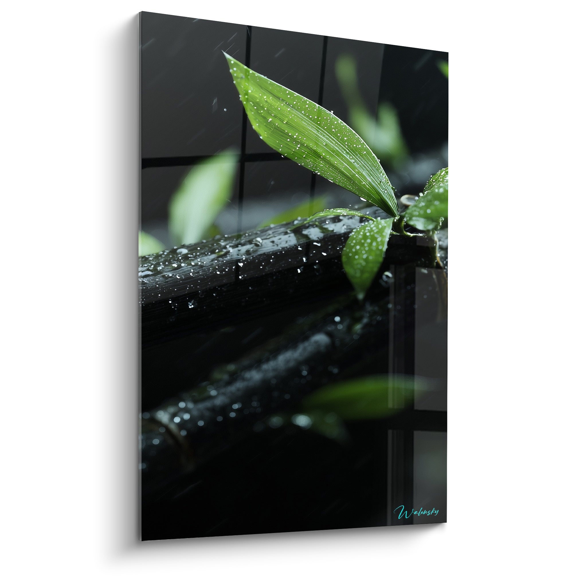 Feuille de bambou verte perlée de gouttes sur tige noire, contraste marqué avec fond anthracite flou