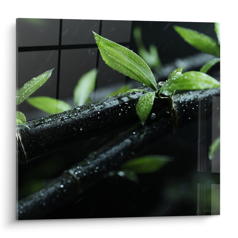 Tableau Bambou noir aux feuilles vertes ruisselantes - Après l'averse - Edition Bambou