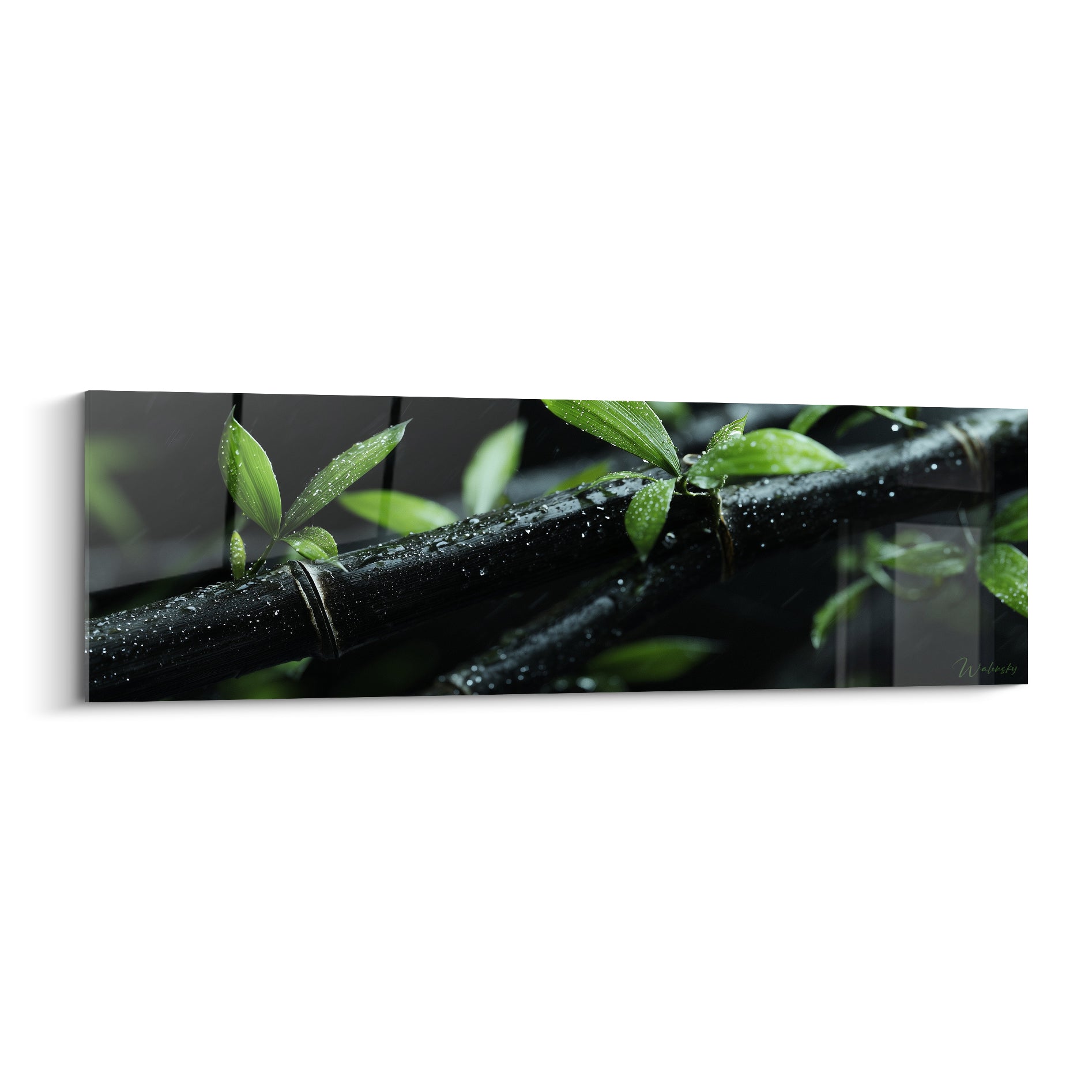 Tiges de bambou noir couvertes de gouttes d'eau, feuilles vert tendre en arrière-plan flou