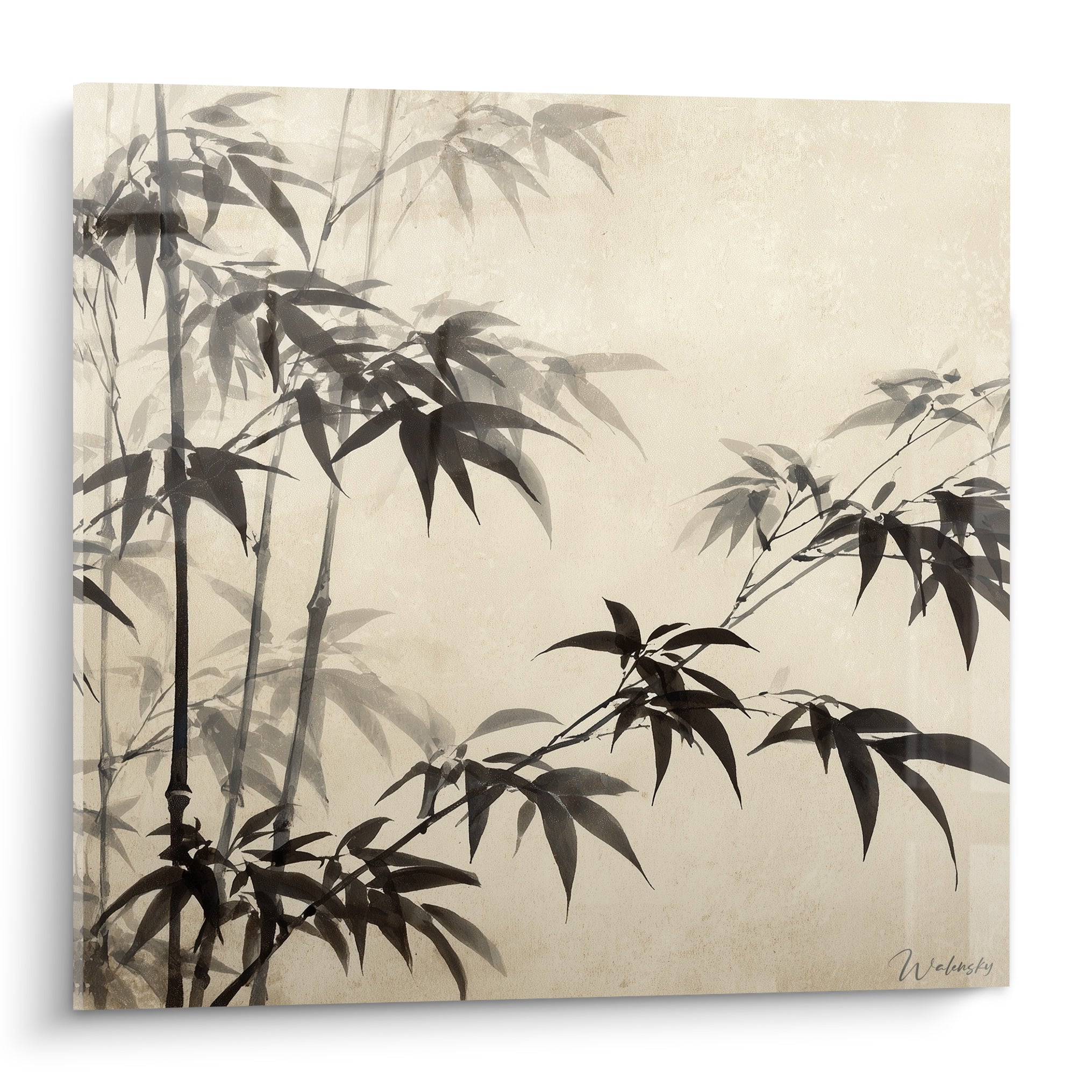 Bambou noir aux feuilles graphiques se détachant sur un fond ivoire texturé et brumeux