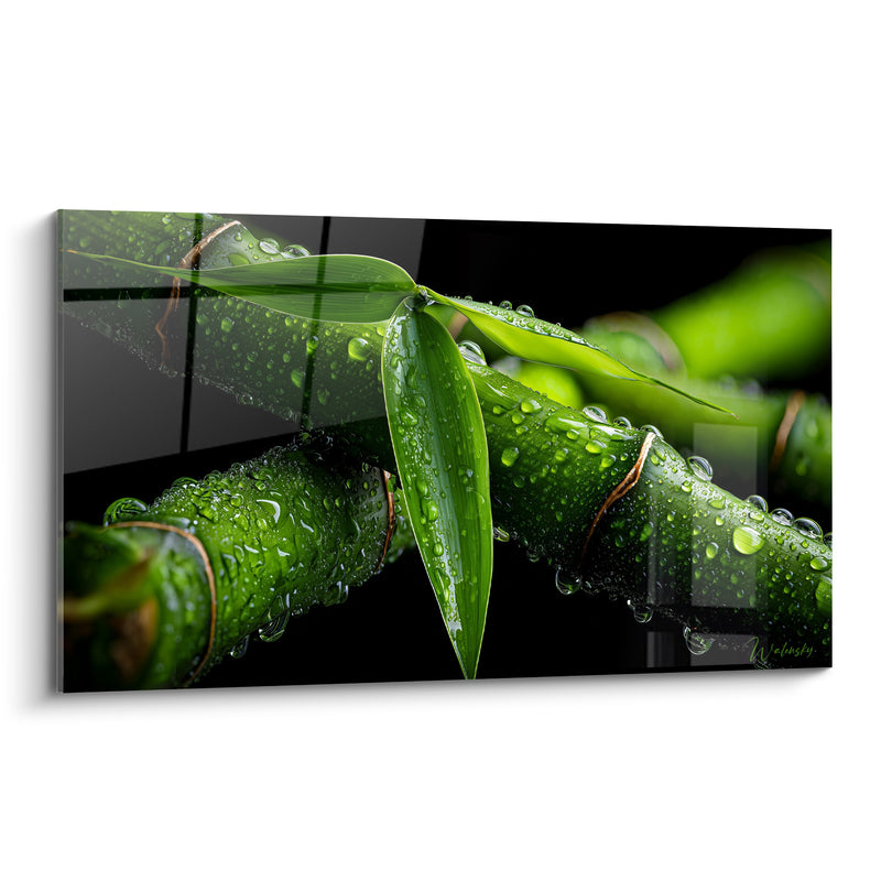 Tableau Tige verte et noire feuilles ruisselantes de pluie - Gros plan humide - Edition Bambou