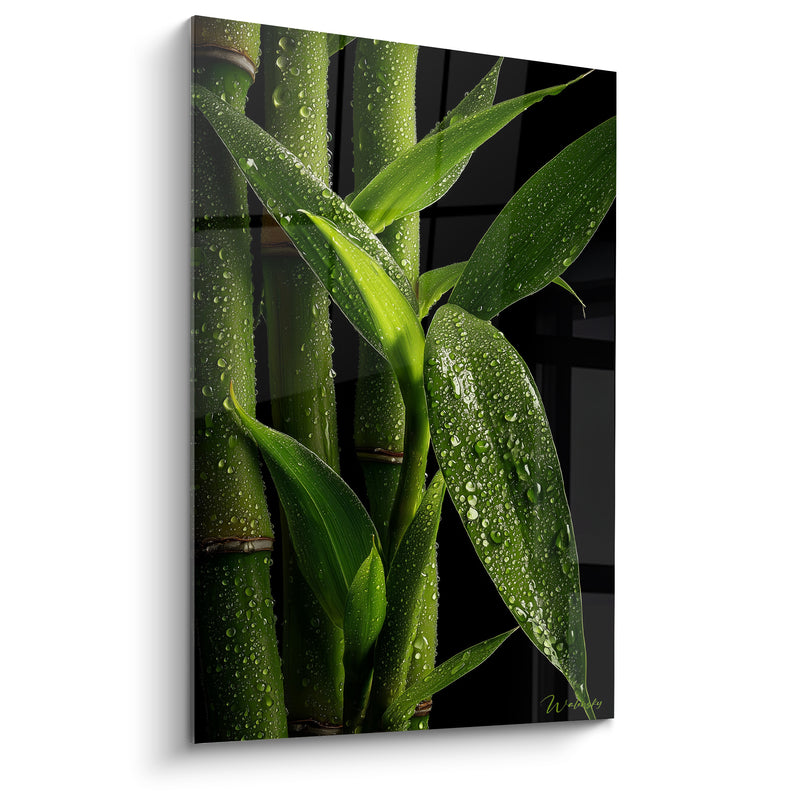 Tableau Tiges vert et noir feuilles ruisselantes de gouttes - Jeune pousse émergente - Edition Bambou