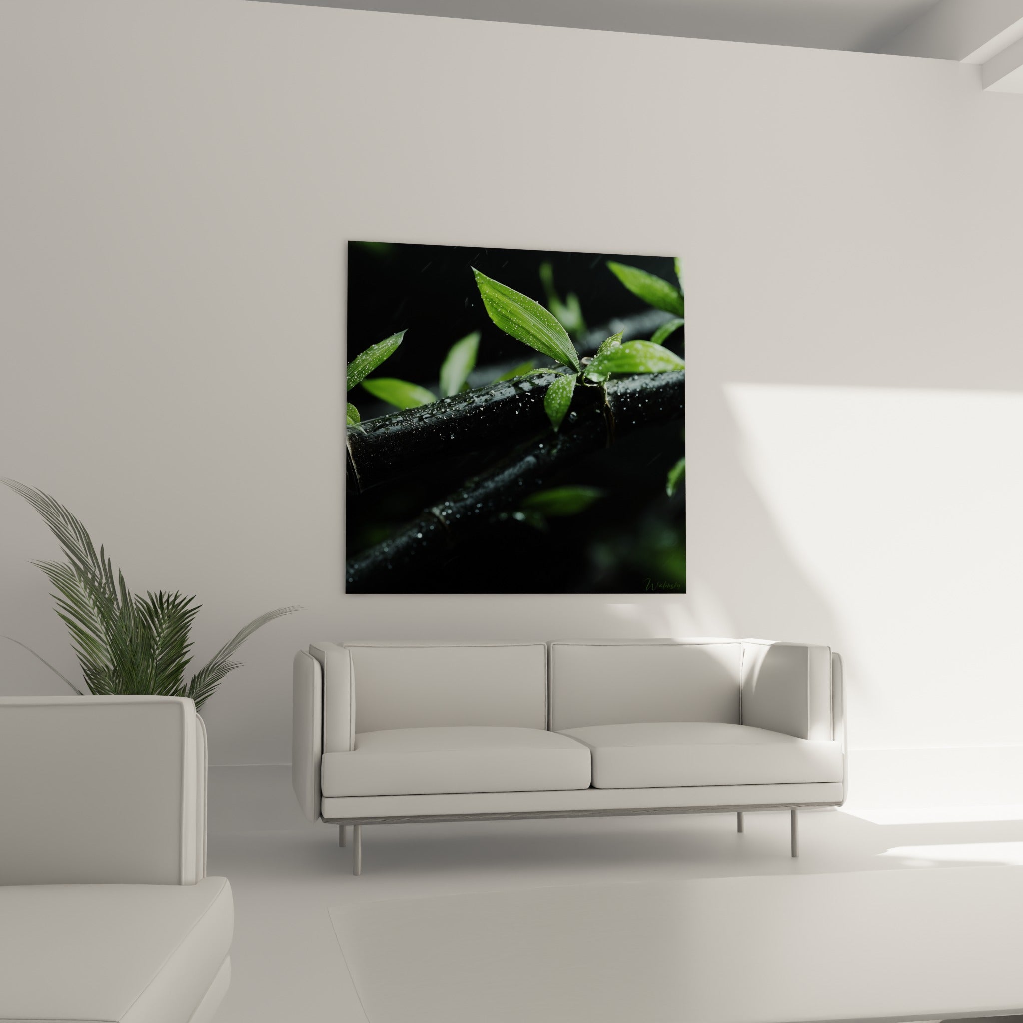 Pousses vert tendre jaillissant d'un bambou noir mouillé au-dessus d'un canapé dans un salon lumineux