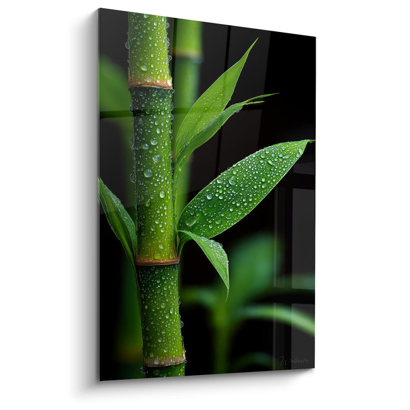 Tableau Tige verte et noire perlée d'eau - Photographie macro humide - Edition Bambou