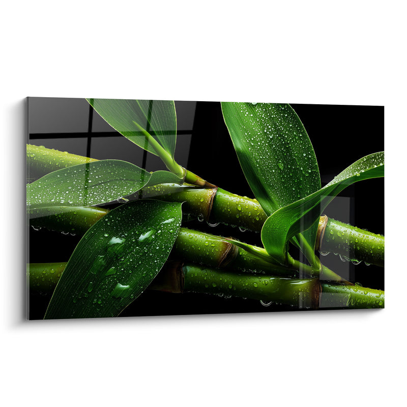 Tableau Tiges vert et noir feuilles ruisselantes de gouttes - Gros plan végétal humide - Edition Bambou