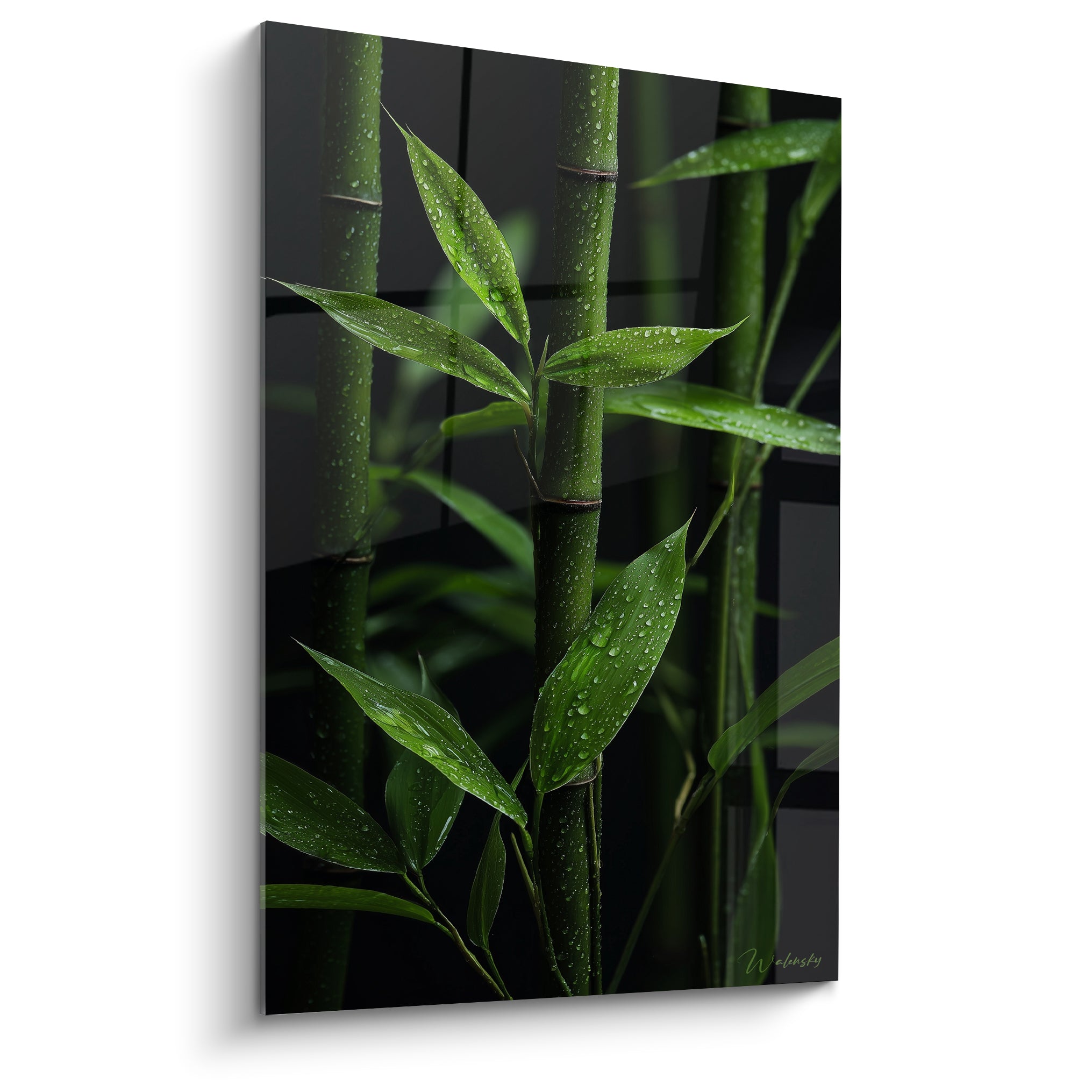 Bambou vert intense aux feuilles perlées de rosée sur un fond anthracite profond et texturé
