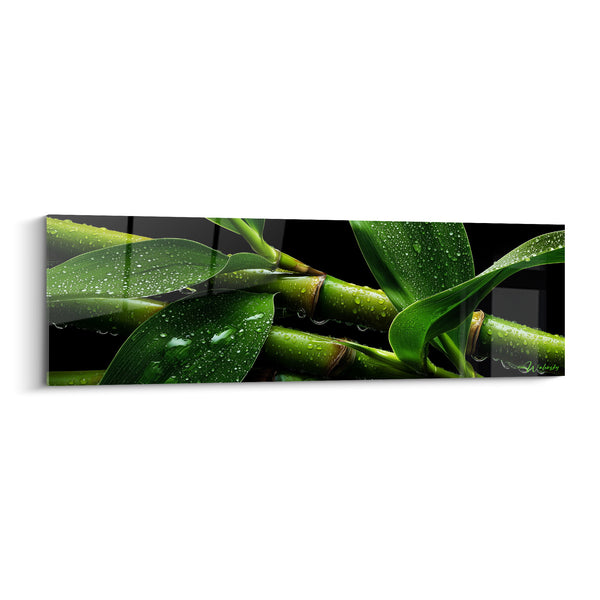 Cuadro de bambú verde sobre fondo negro intenso - Frescura de la mañana - Edición Bambú