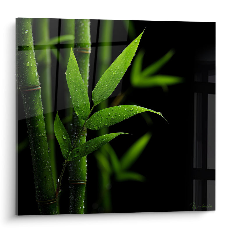 Tableau Bambou vert et noir gouttes de rosée - Rosée du matin - Edition Bambou