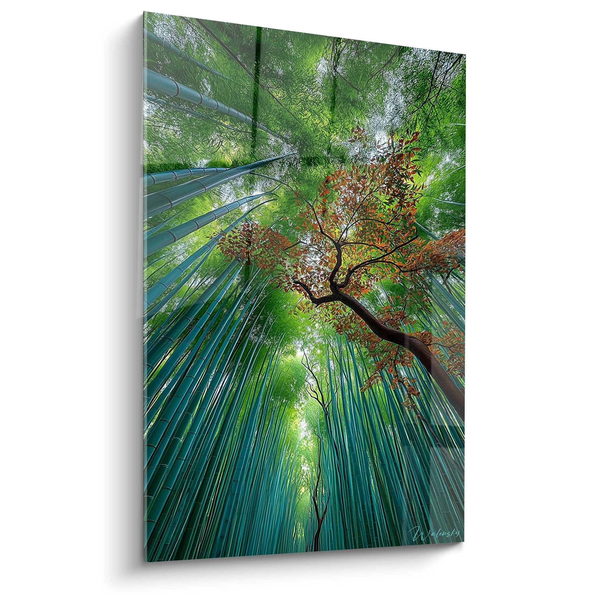 Tableau bambous et érable japonais - Vue contre-plongée canopée zen couleurs automnales - édition Forêt