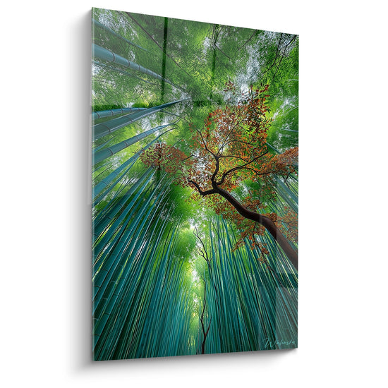 Tableau Bambous et Érable - Canopée Zen - édition Forêt