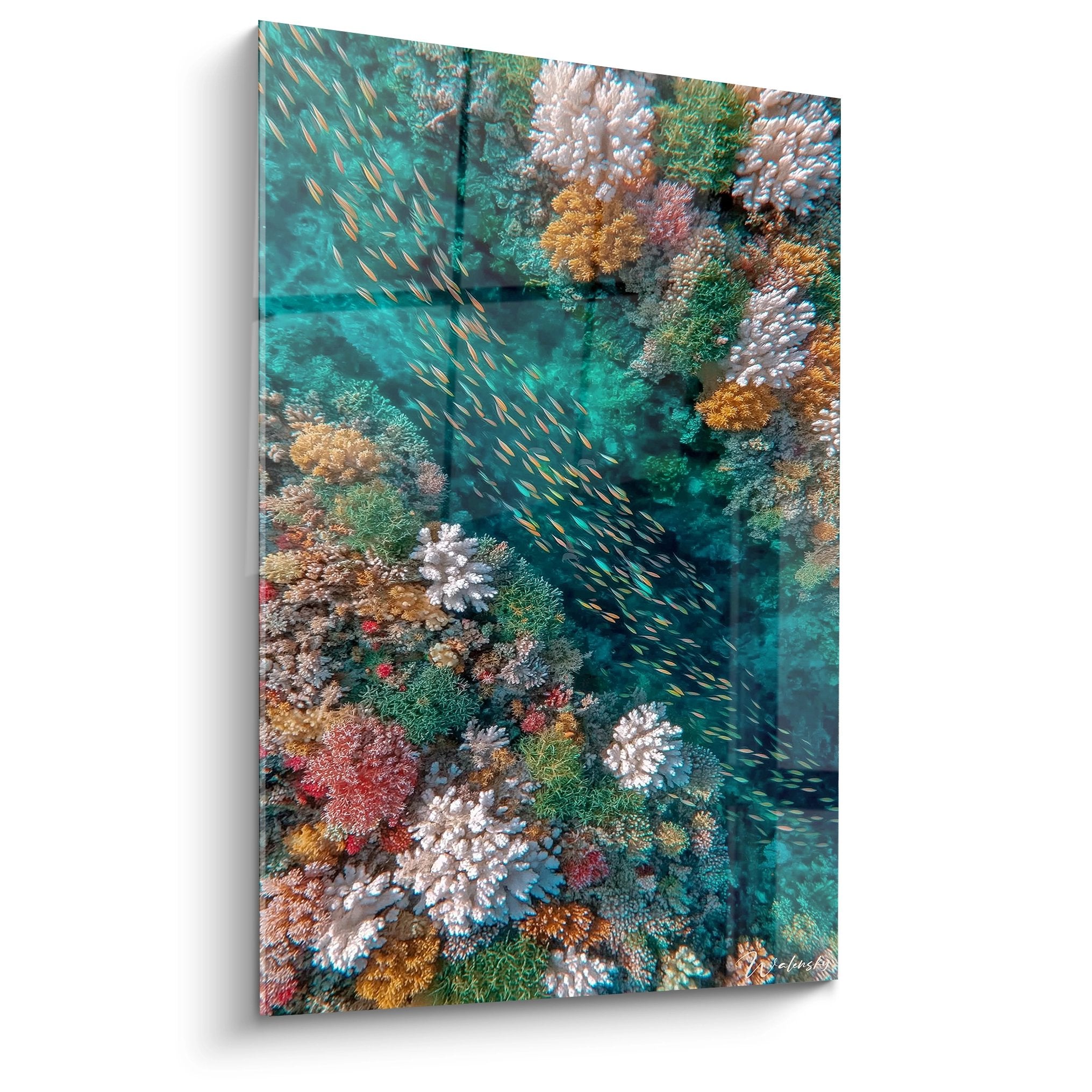 Tableau mural banc poissons tropicaux dorés évoluant au-dessus récif corallien multicolore fonds marins