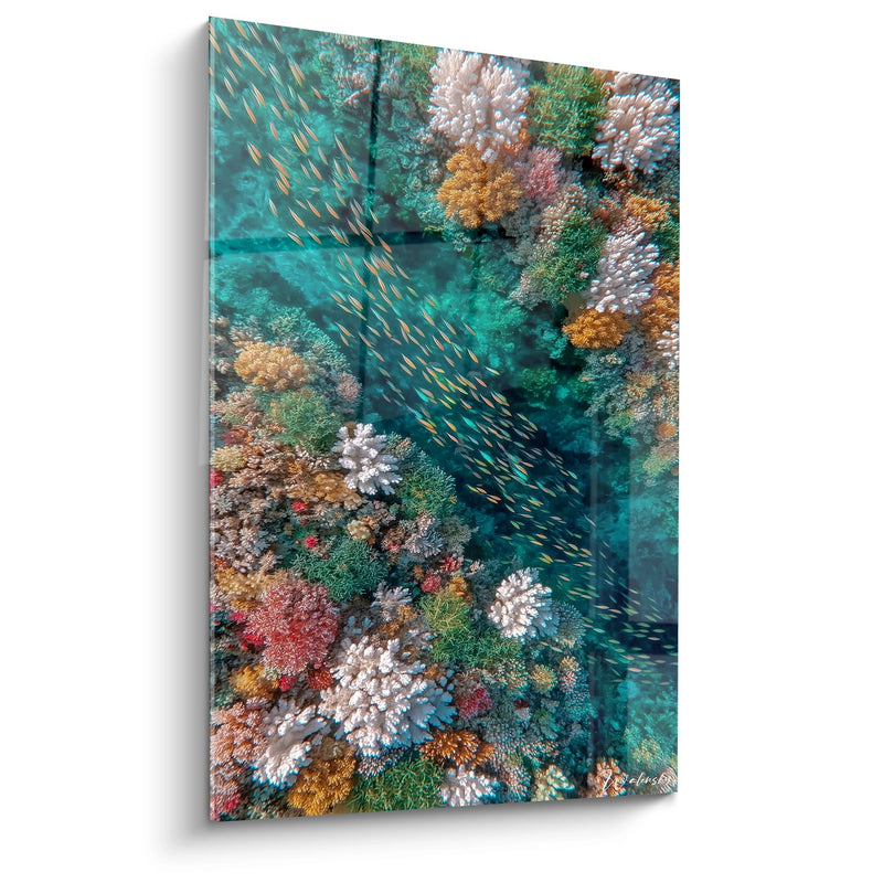 Tropical Fish School Wall Art - Coral Symphony - seabed edition