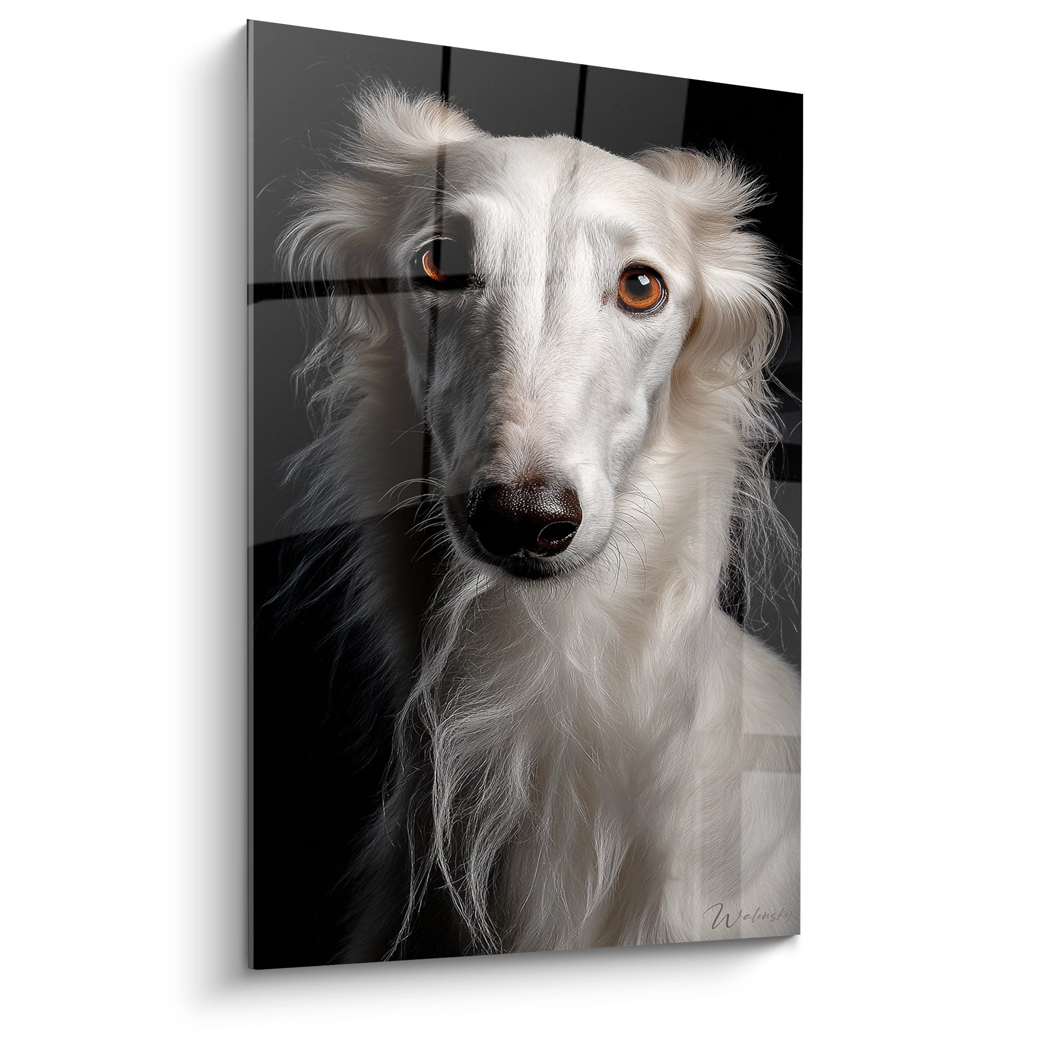 Portrait de Barzoi blanc aux yeux ambrés sur fond noir, tableau mural élégant edition lévrier