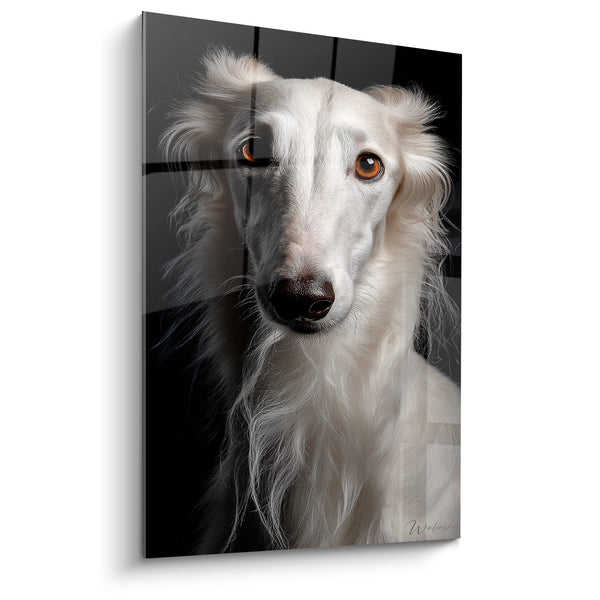 Cuadro de Perro Blanco con Ojos Ámbar Retrato Elegante - Mirada Noble - Edición Barzoi