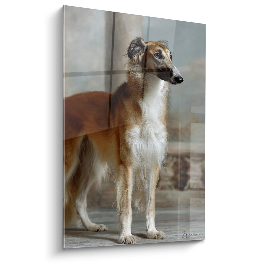 Tableau Lévrier Élégant en Posture Majestueuse - Portrait Noble - Edition Barzoi