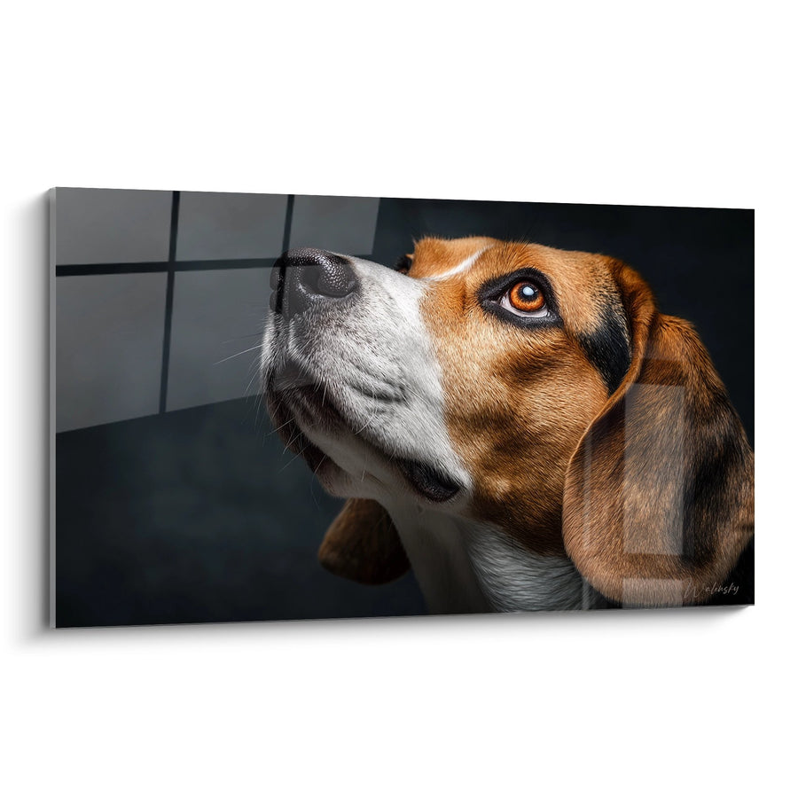 Tableau Beagle Regard Expressif aux Yeux Ambrés - Portrait Captivant - Edition Tableau Beagle