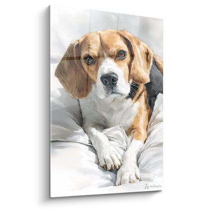 Dreifarbiges Beagle-Tableau, ausgestreckt auf weißem Leinen – Morgenzärtlichkeit – Edition Beagle-Tableau