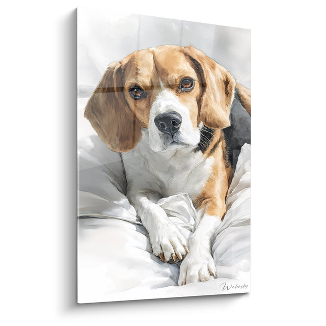 Tableau Beagle Tricolore Allongé sur Draps Blancs - Tendresse Matinale - Edition Tableau Beagle