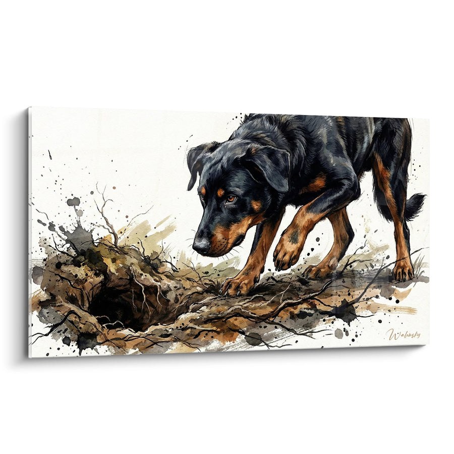 Schwarzer und roter Hund gräbt Erde - Grabinstinkt - Beauceron Edition