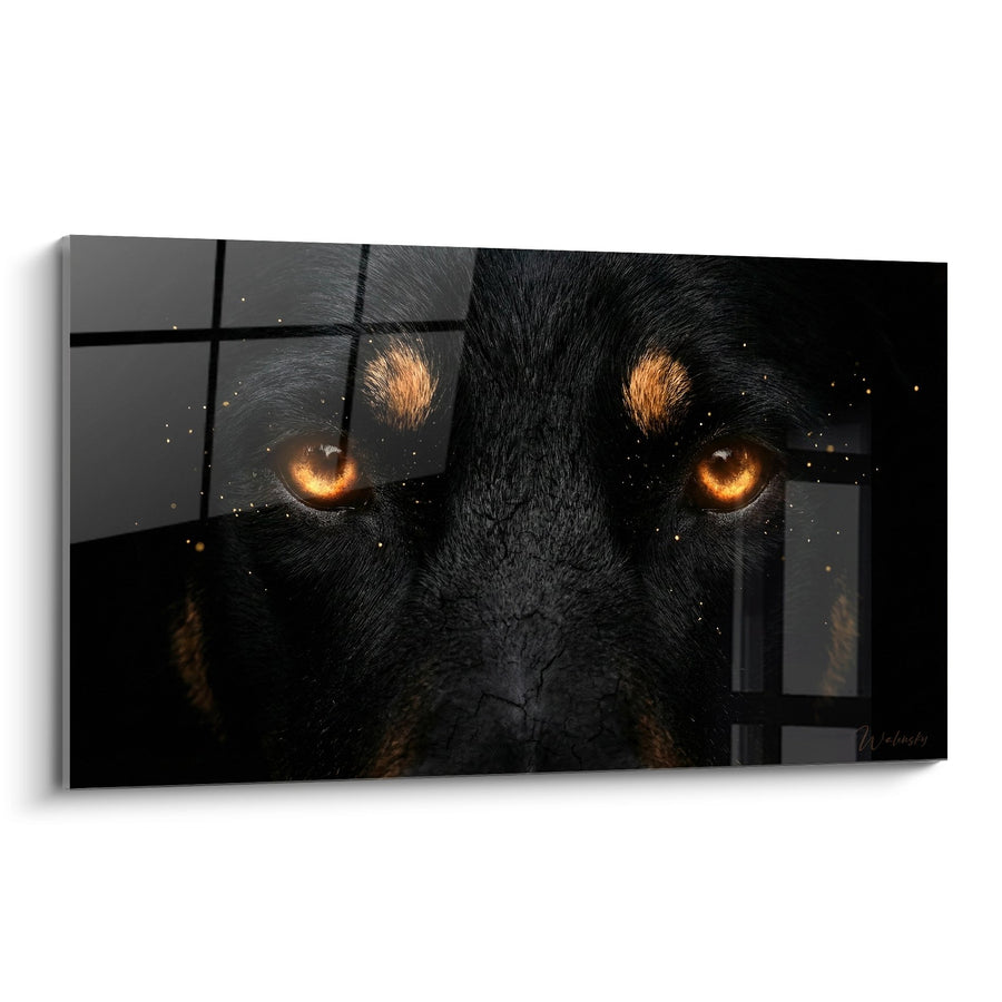 Tableau Regard Intense aux Yeux Ambrés - Intensité Canine - Edition Beauceron
