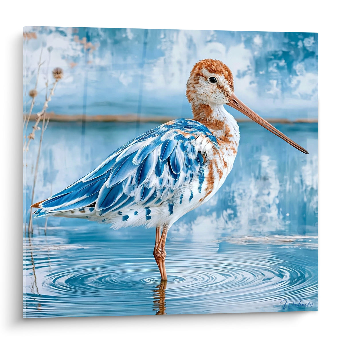 Bécasse au plumage bleu marine et roux, bec effilé, debout dans une eau calme et lumineuse