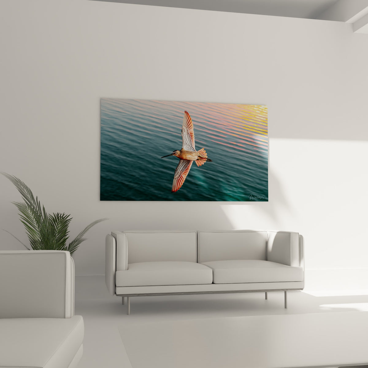 Bécasse en vol, plumage roux et gris, reflets orangés sur l'eau, suspendue au-dessus d'un canapé dans un salon lumineux