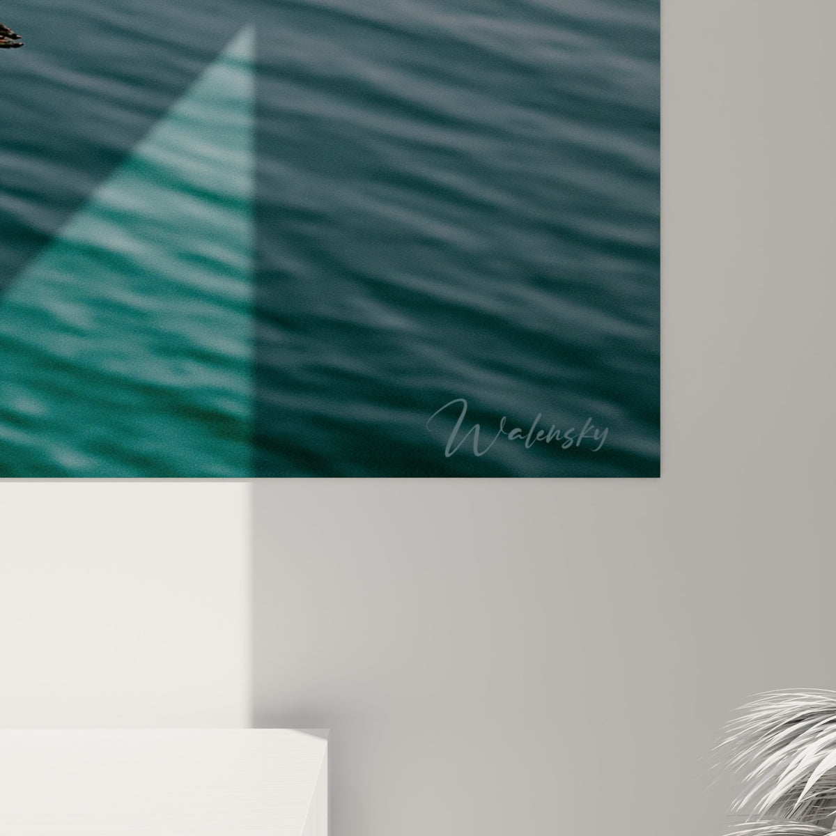 Détail des plumes rousses et blanches de la bécasse, texture fine et reflets dorés se mêlant au bleu profond de l'eau