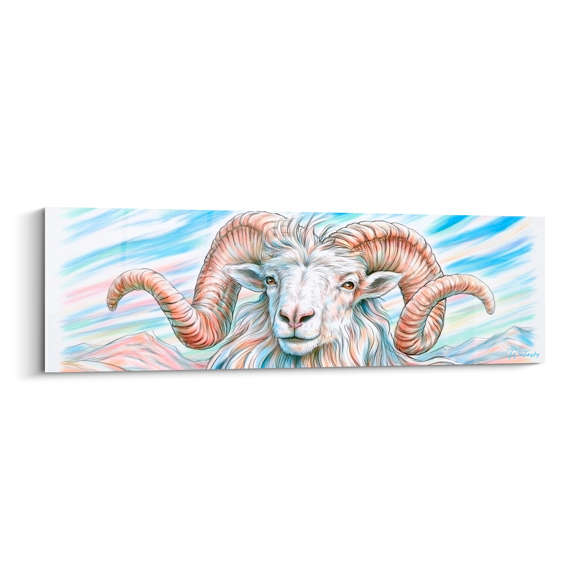 Bélier aux cornes saumon enroulées, regard ambré, fond bleu pastel esquissé au trait fin