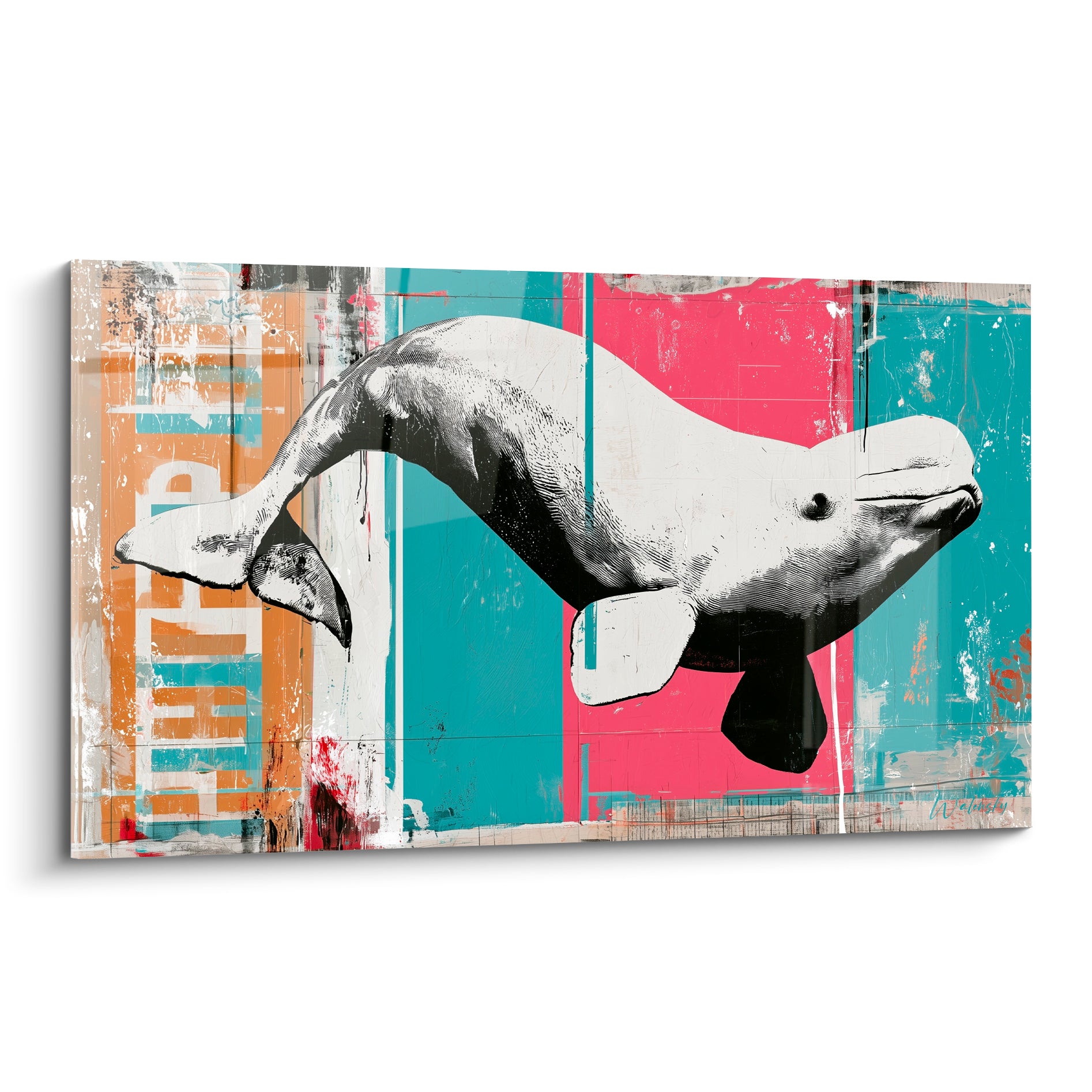 Beluga blanc et gris plongeant sur fond rose corail et bleu sarcelle façon affiche urbaine usée