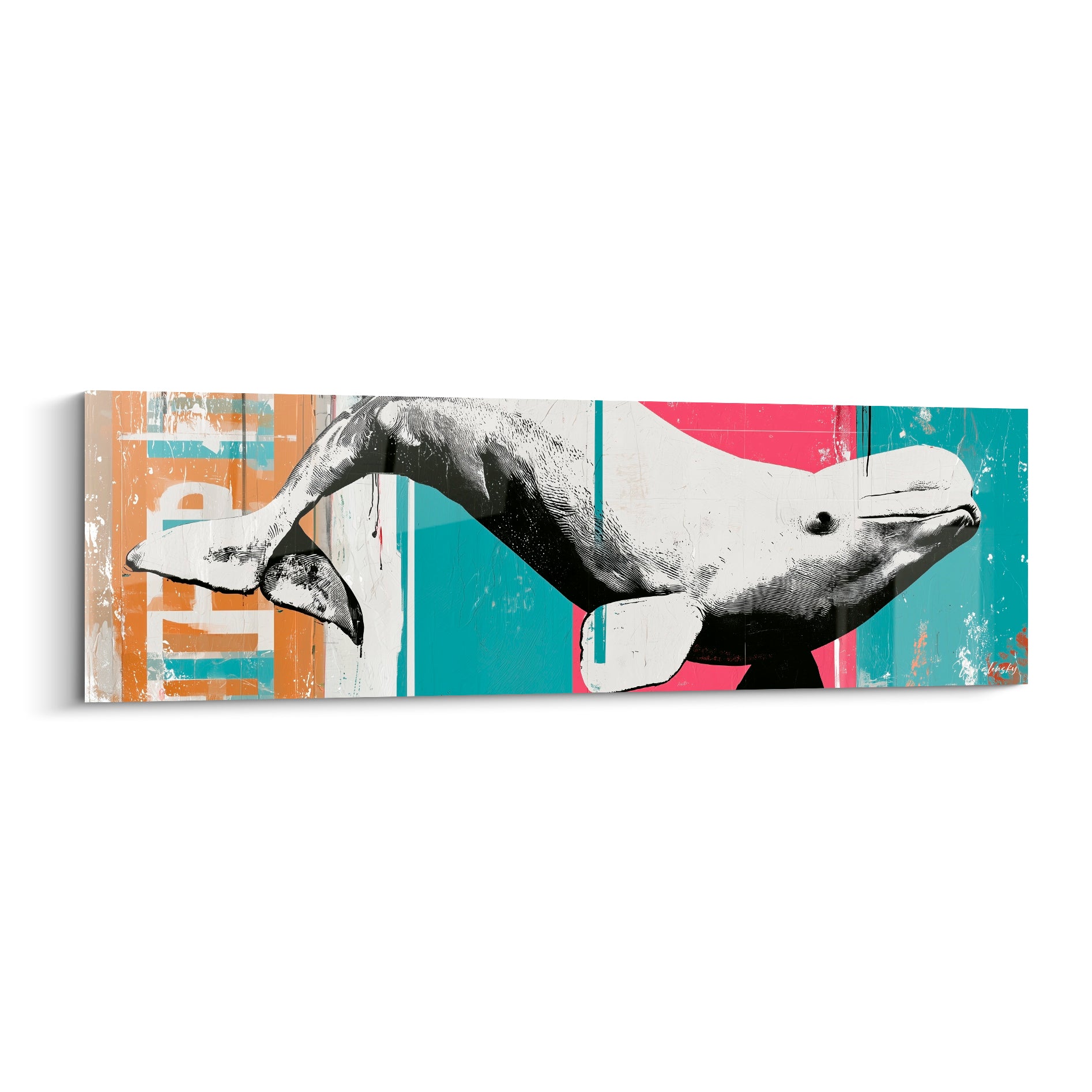 Beluga blanc et noir bondissant sur fond rose fuchsia et bleu sarcelle façon affiche déchirée