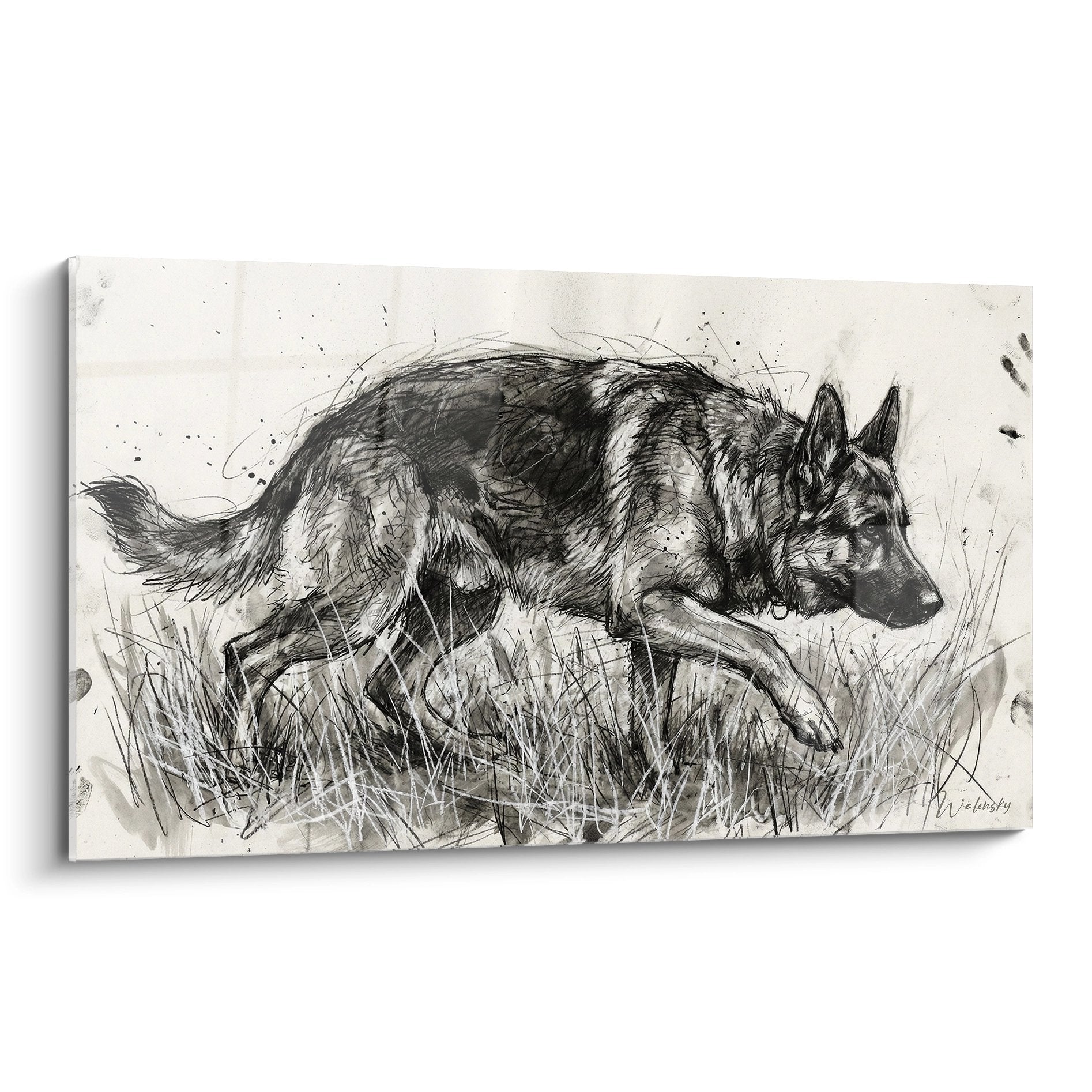 quadro pastore tedesco schizzo inchiostro nero monocromatico ritratto artistico erbe selvatiche