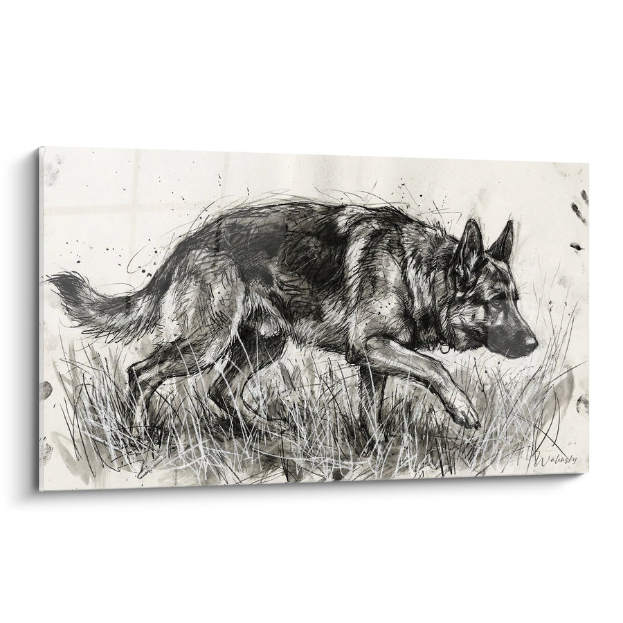 Tableau Berger Allemand Esquisse à l'Encre - Portrait Artistique Monochrome - Edition Tableau Berger Allemand