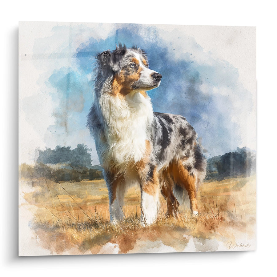 Tableau Berger Australien Portrait Aquarelle - Noble Regard - Edition Tableau Berger Australien