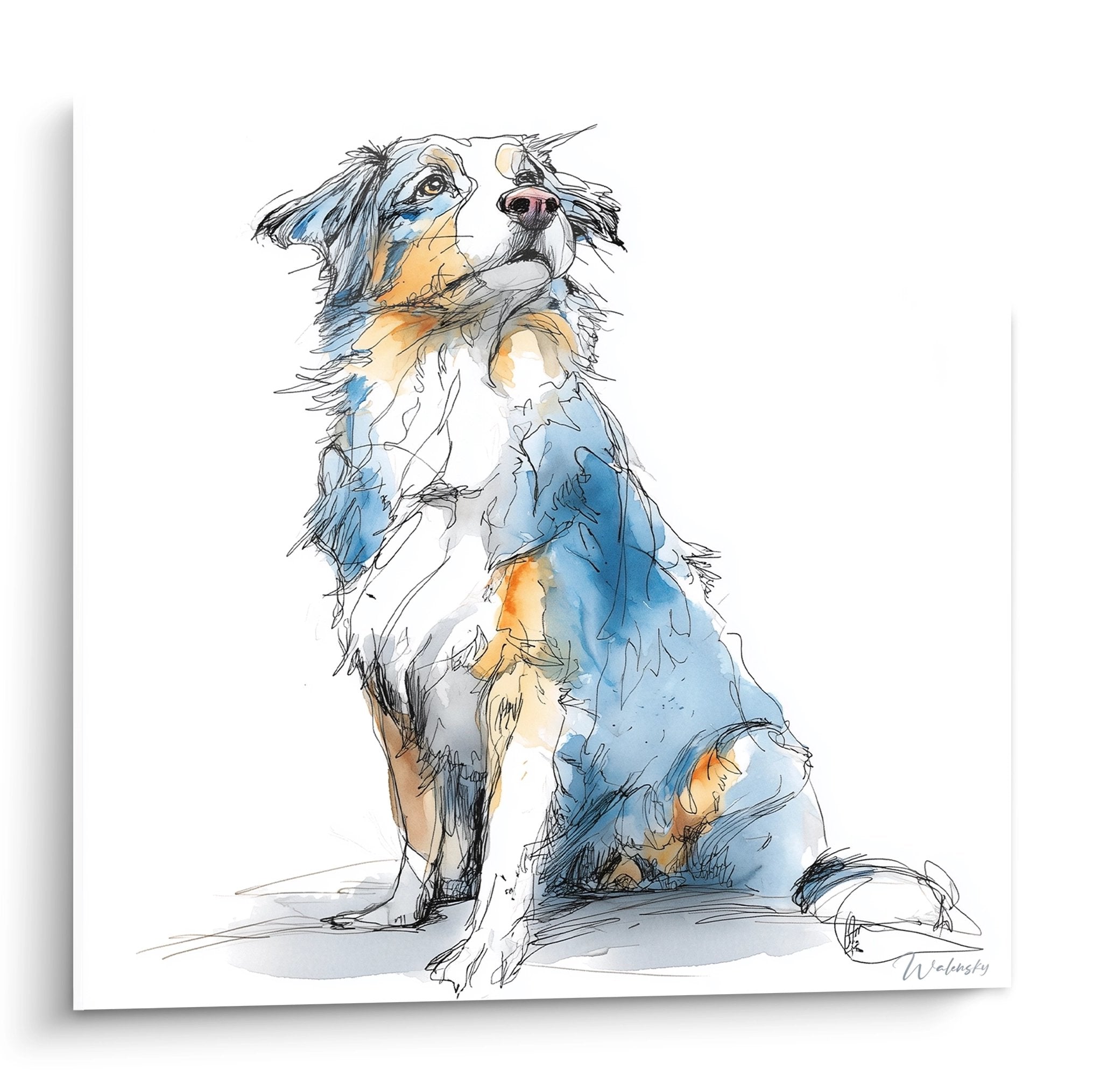 Australian Shepherd watercolor tricolor sitting upward gaze blue white orange tones canine art