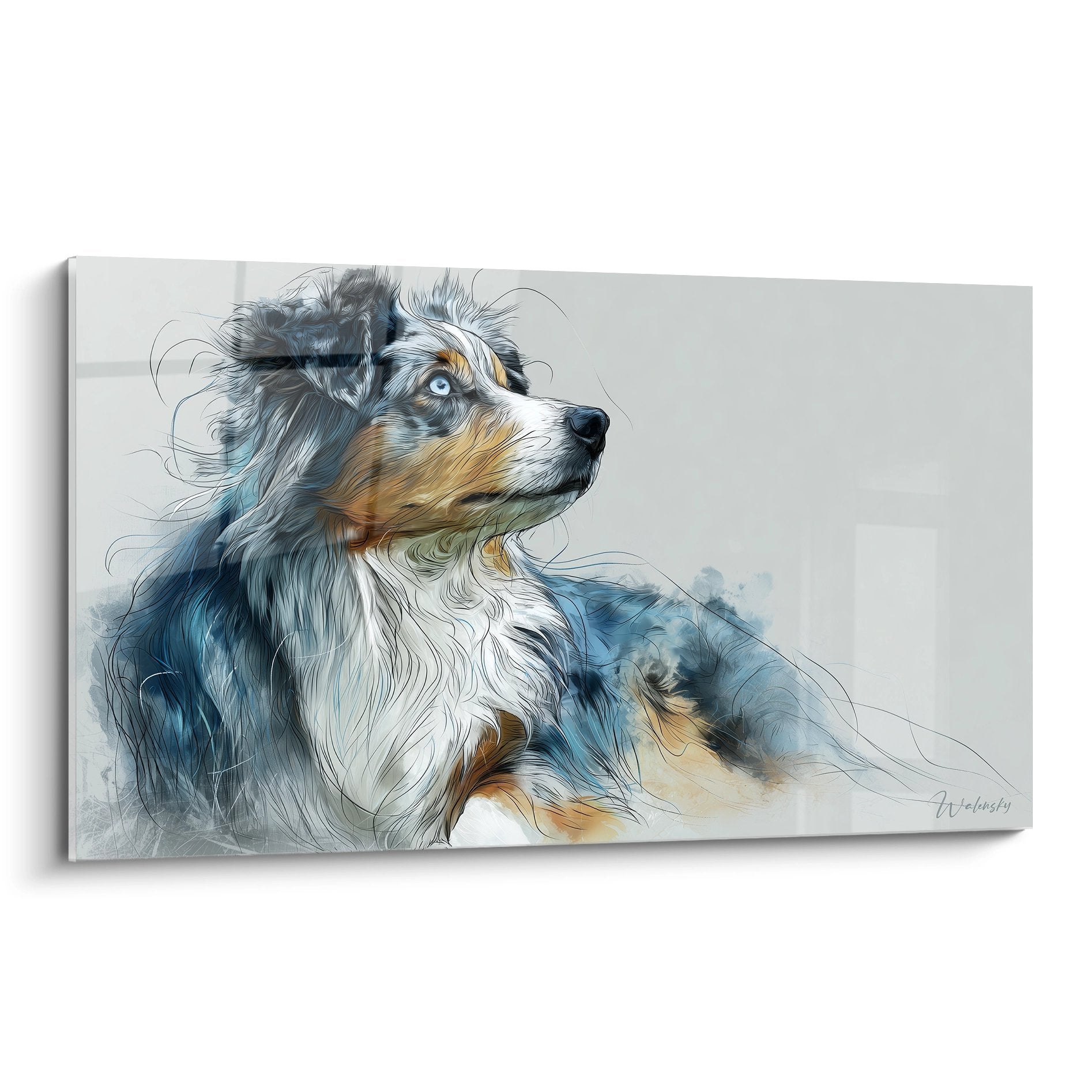 blue merle australian shepherd portrait painting intense gaze modern watercolor technique