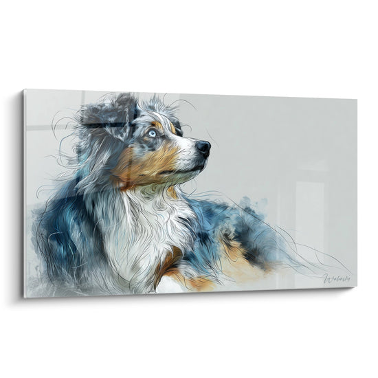 quadro ritratto pastore australiano blu merle sguardo intenso tecnica acquerello moderno