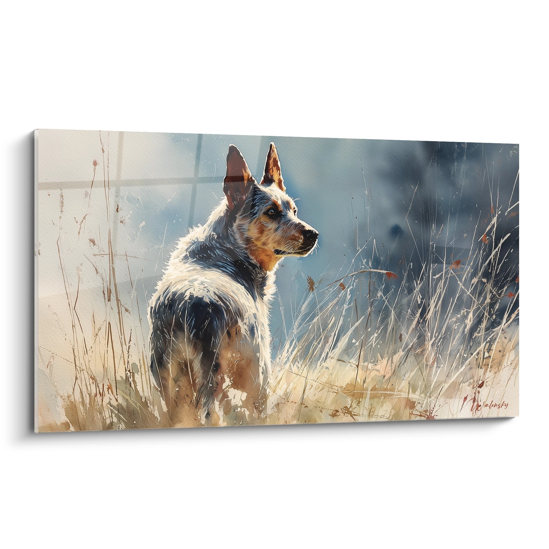 Tableau berger australien tricolore en contemplation dans herbes dorees arriere-plan bleu-gris style realiste