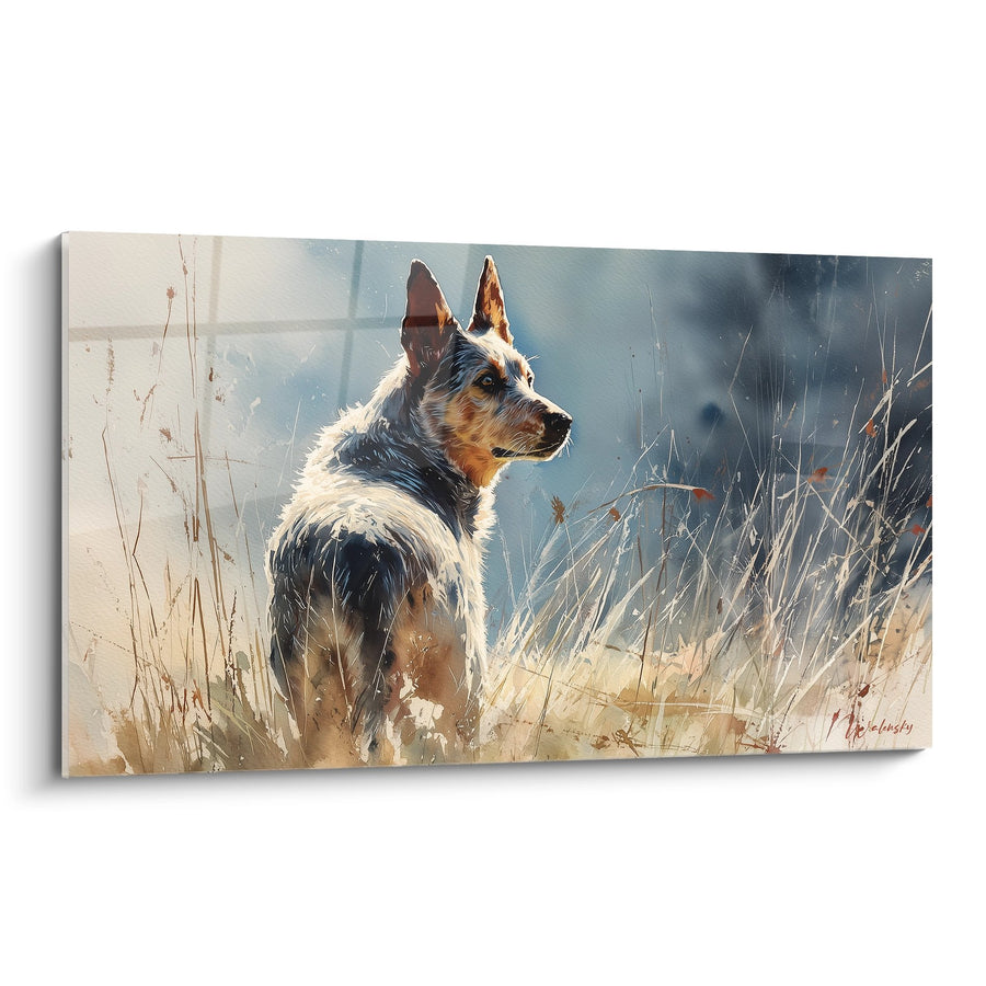 Tableau Chien Berger en Contemplation dans les Herbes Dorées - Regard Attentif - Edition Australian Cattle Dog