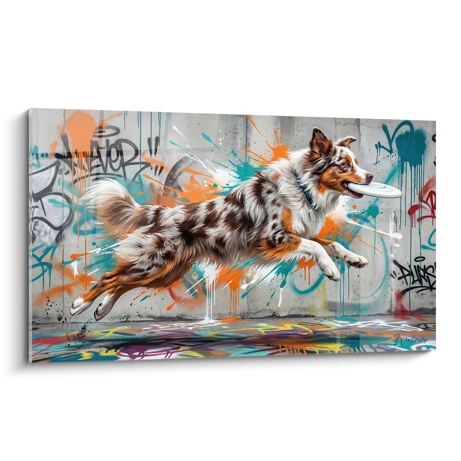 Obraz Pasterza Owczarka Australijskiego w Ruchu na Graffiti Miejskiej - Kolorowa Ucieczka - Miniaturowa Edycja Pasterza Amerykańskiego