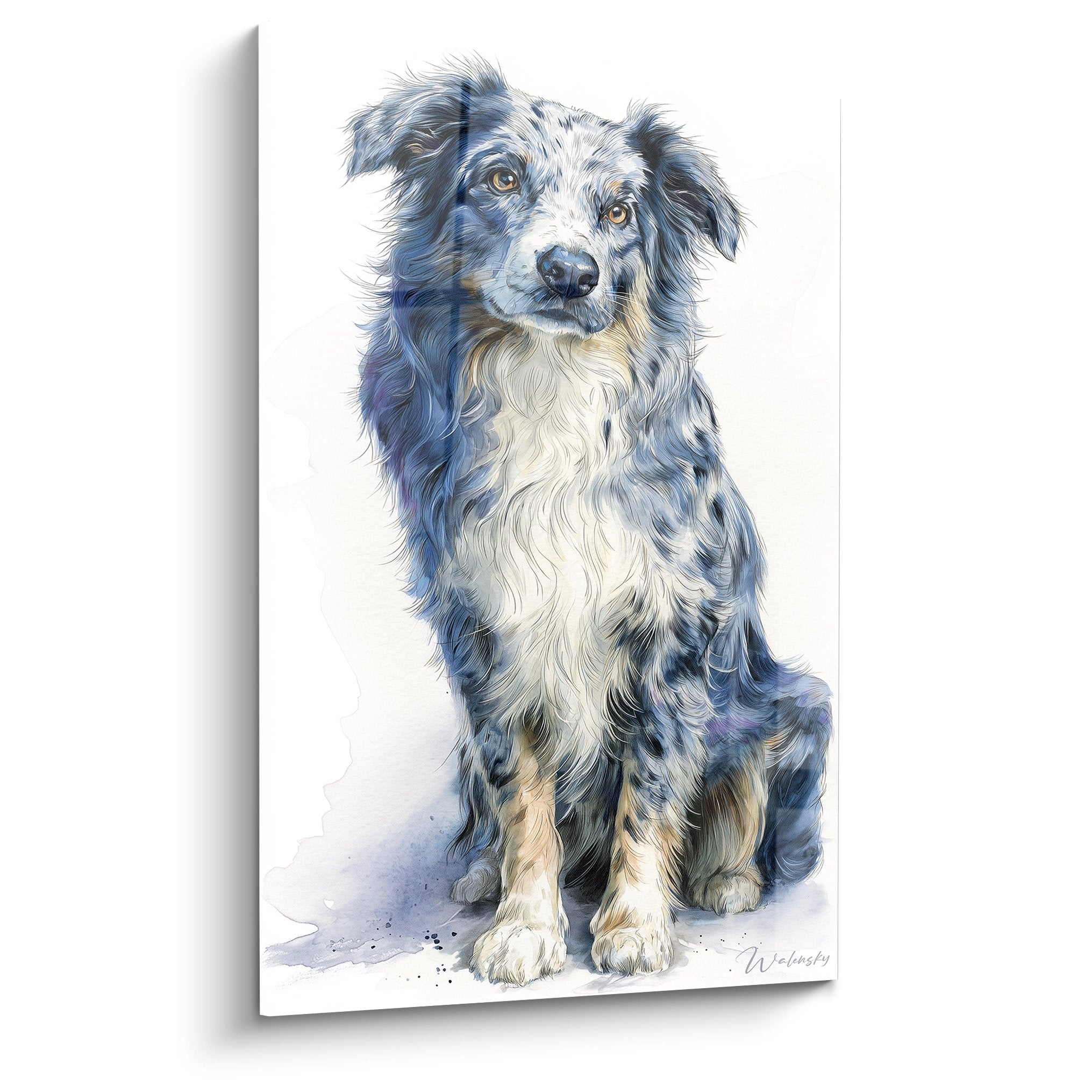 Watercolor portrait Australian Shepherd blue merle sitting amber eyes white background delicate artistic style