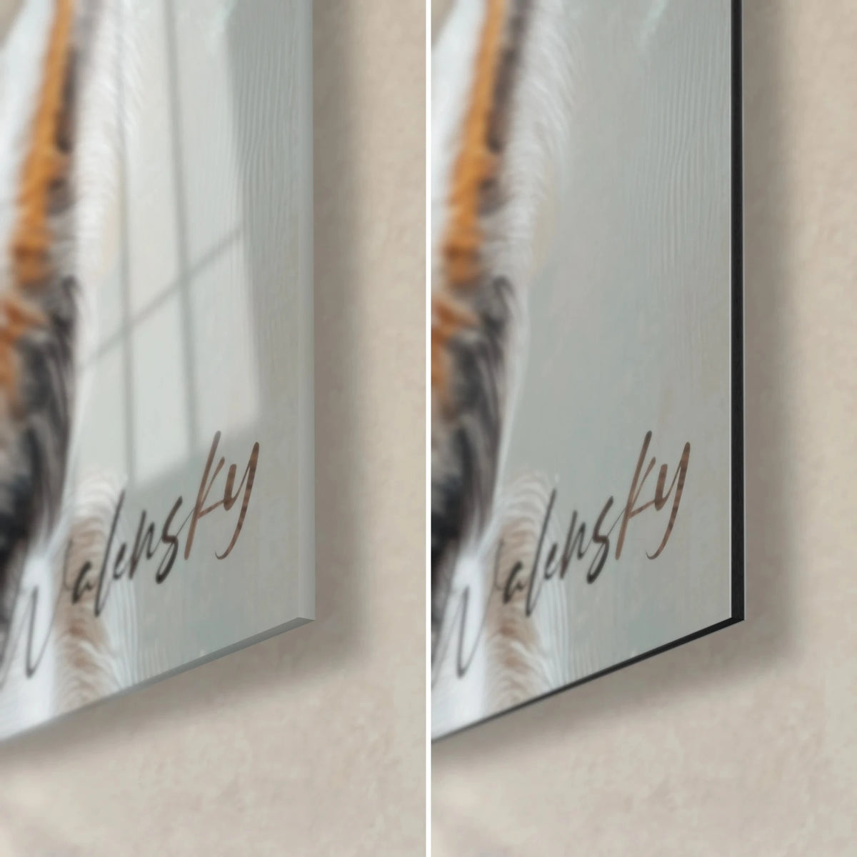 Tableau chien merle aux yeux clairs, coin bas droit : verre acrylique brillant à gauche, alu Dibond mat noir à droite, tranche de 3 mm