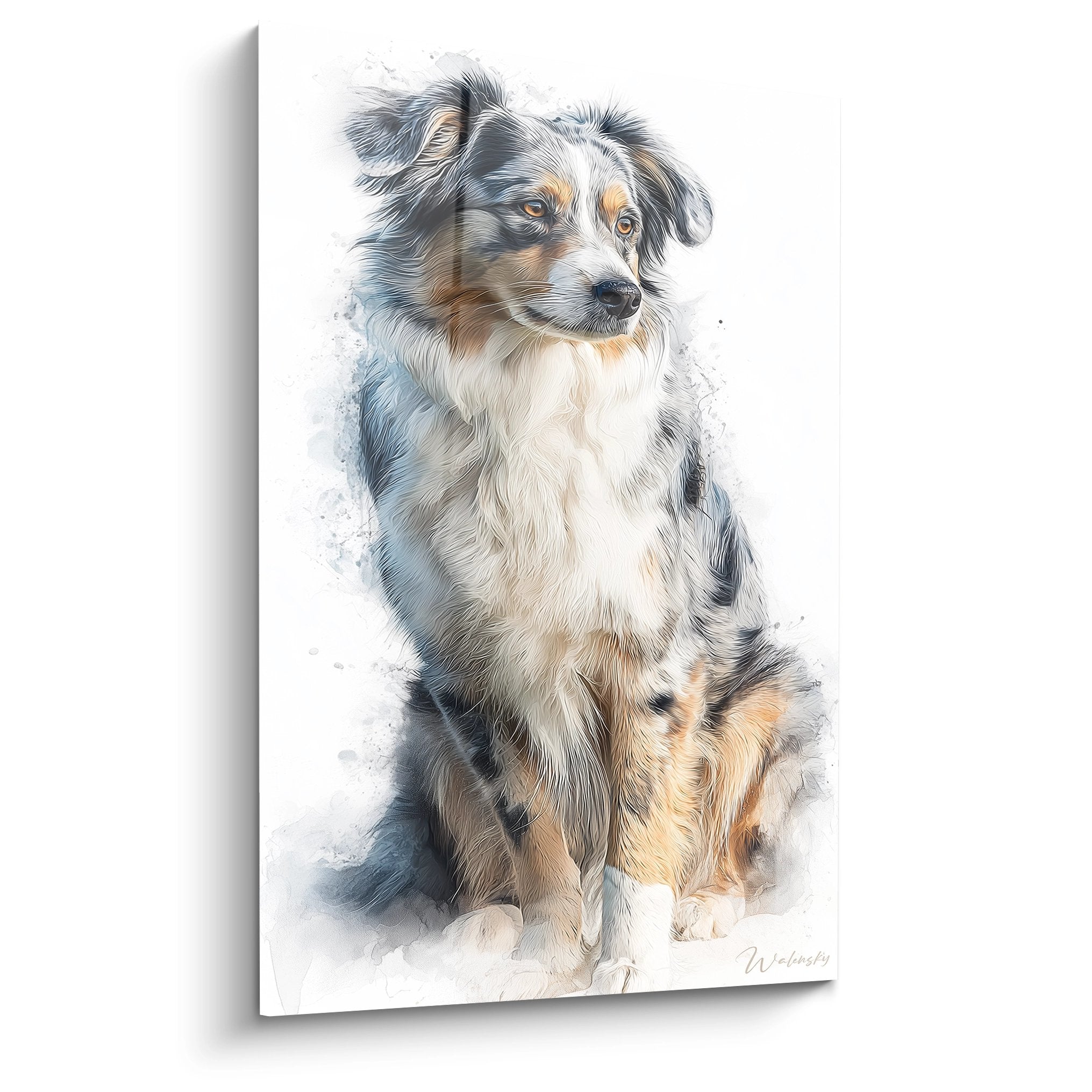 Watercolor portrait of seated Australian Shepherd with blue-gray tones, amber eyes, artistic splashes on white background