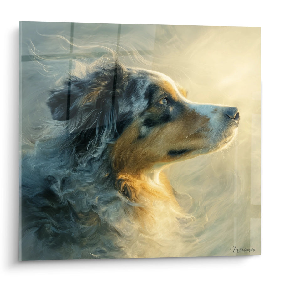 Tableau Berger Australien Portrait Contemplatif - Regard vers l'Horizon - Edition Tableau Berger Australien